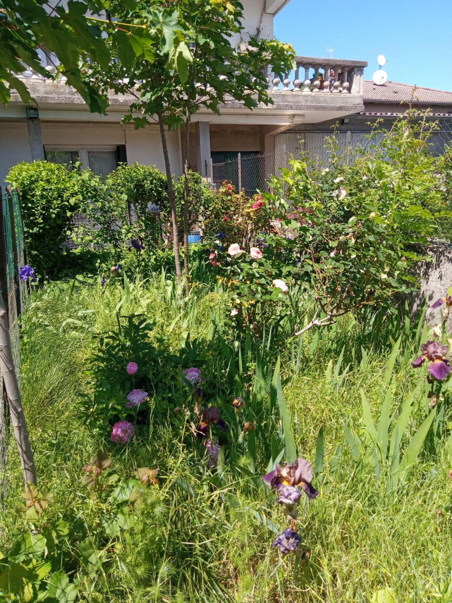 Rosalie Cottage Beaurepaire  Esterno foto