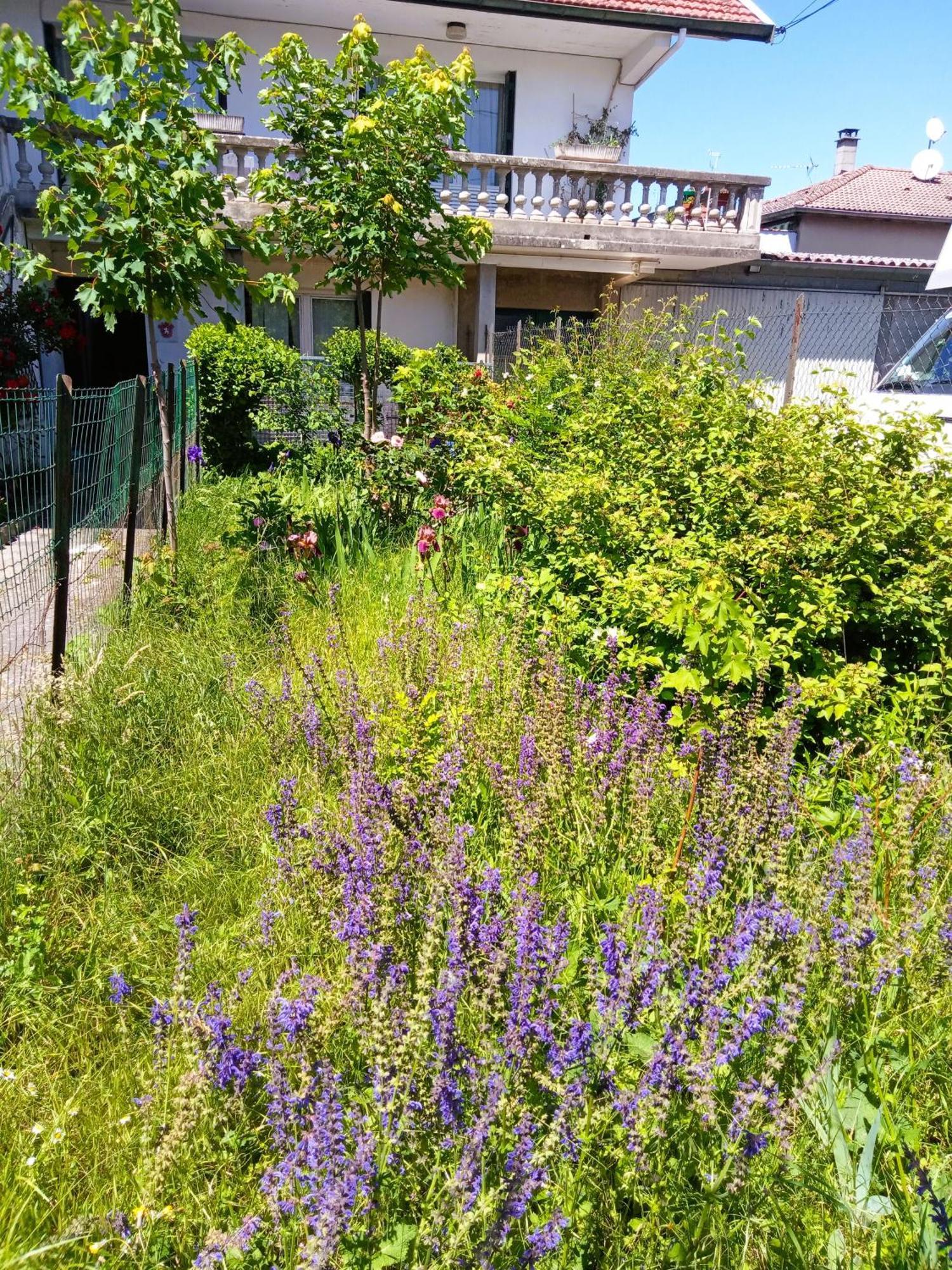 Rosalie Cottage Beaurepaire  Esterno foto