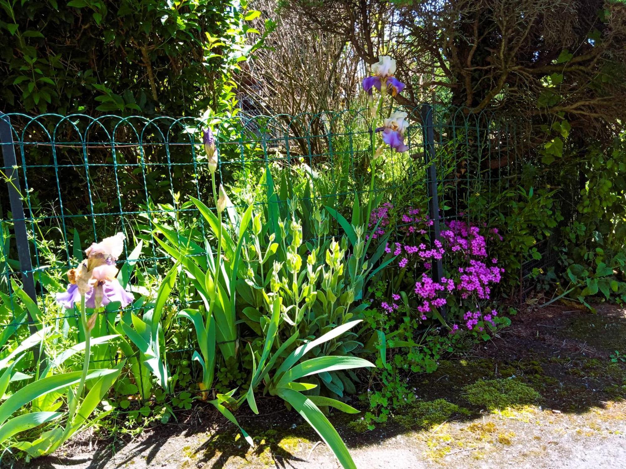 Rosalie Cottage Beaurepaire  Esterno foto